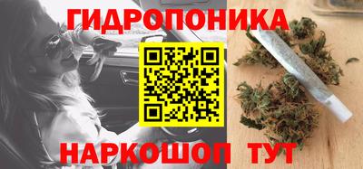 каннабис Будённовск
