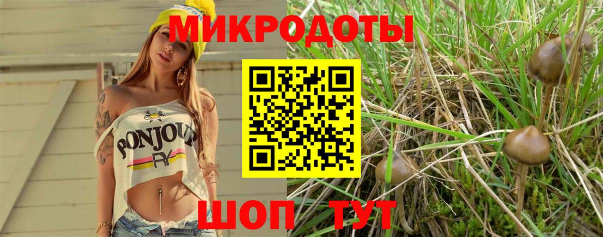 Псилоцибиновые грибы мухоморы  Вход с VPN  Галлюциногенные грибы Psilocybe  Углич 